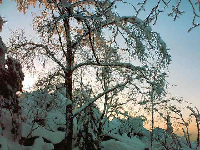 Koesseine-Landschaft